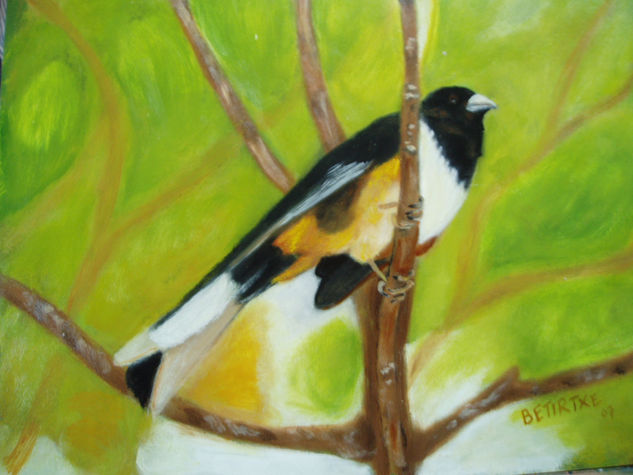 pajaro entre ramas Oil Panel Animals