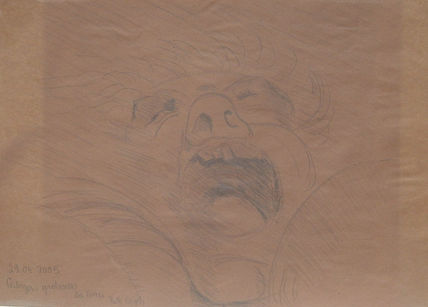 Cabeza grotesca