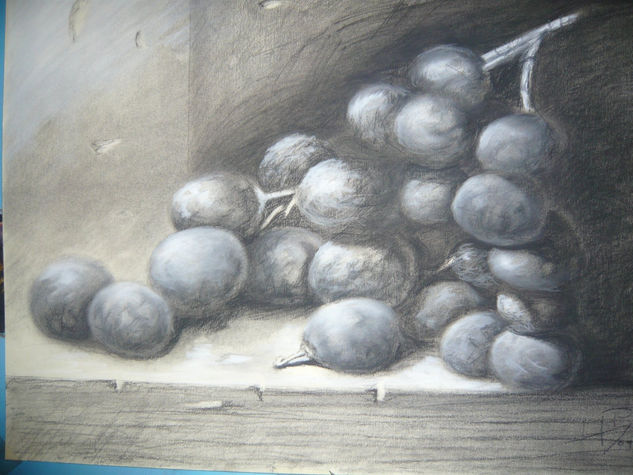 boceto de racimo de uvas a lápiz y carboncillo Charcoal