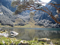 Laguna Pato Colorado