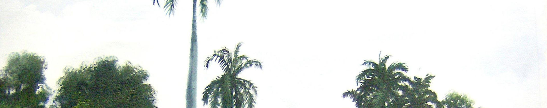 Imagen de portada