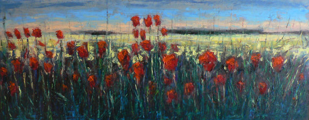Amapolas de Montealegre 