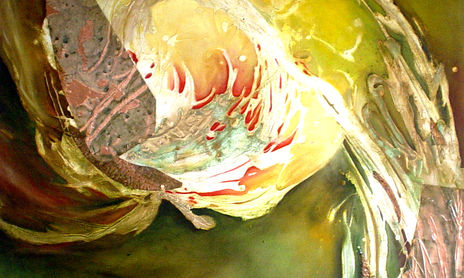 forma-trans-forma