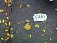 qué?