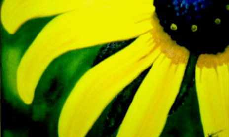 Flores