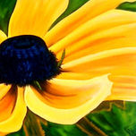 Flores thumbnail 1