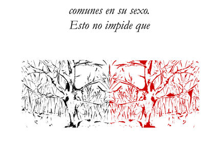 Nº4