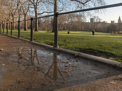 Reflejos