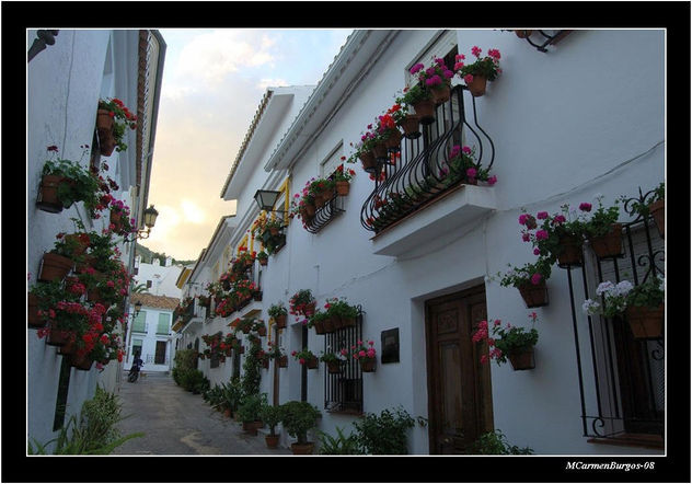 Atardeciendo por Calle Maestra Ayala