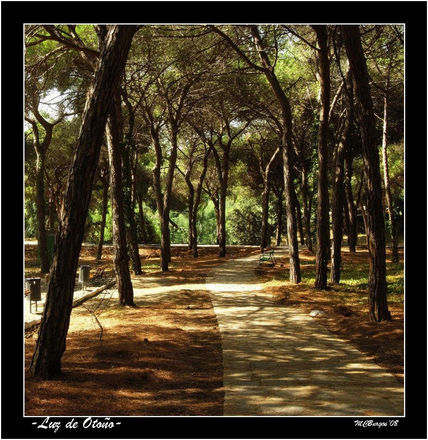 Luz de Otoño