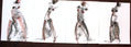 SERIE DE DESNUDOS EXPRESIONISTAS