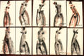 SERIE DE DESNUDOS EXPRESIONISTAS