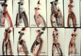 SERIE DE DESNUDOS EXPRESIONISTAS