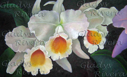 Orquideas.
