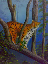 Leopardo en la Selva