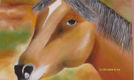 caballo argentino