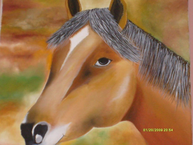 cabeza de caballo argentino Oil Canvas Animals