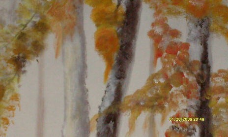 arboles en otoño