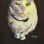 animales thumbnail 1