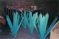 Agaves