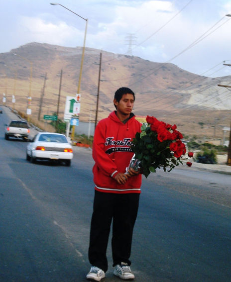 Flores