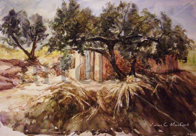 Olivos Watercolour Paper Landscaping