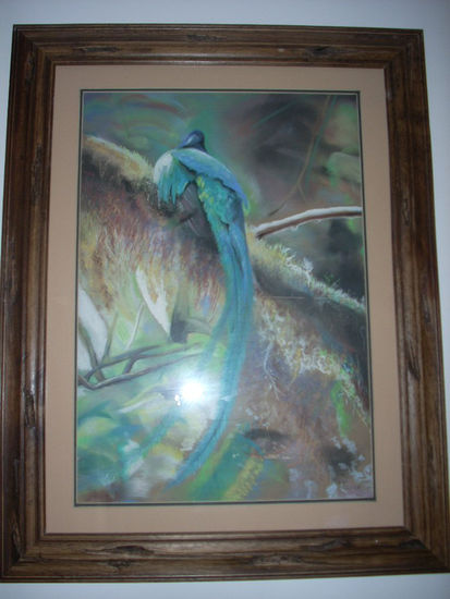 El Quetzal 