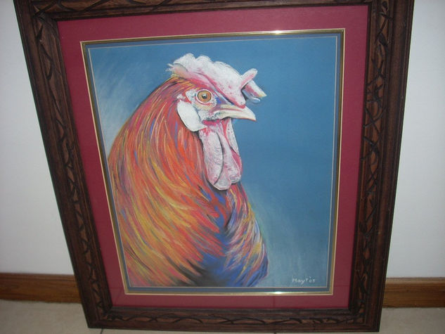 Gallo 