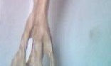 Madera