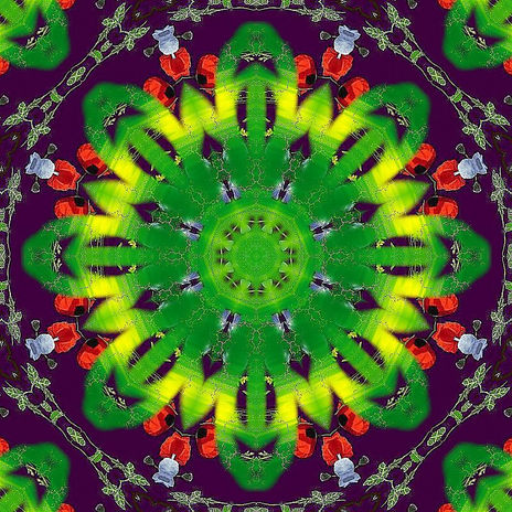 Untitled - 1
