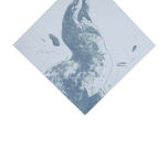 grafica thumbnail 1