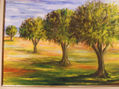 olivos
