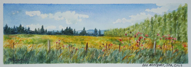 los antiguos,santa cruz,argentina Watercolour Paper Landscaping