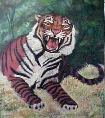 Tigre 