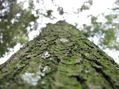 RESTOS DE  NATURALEZA