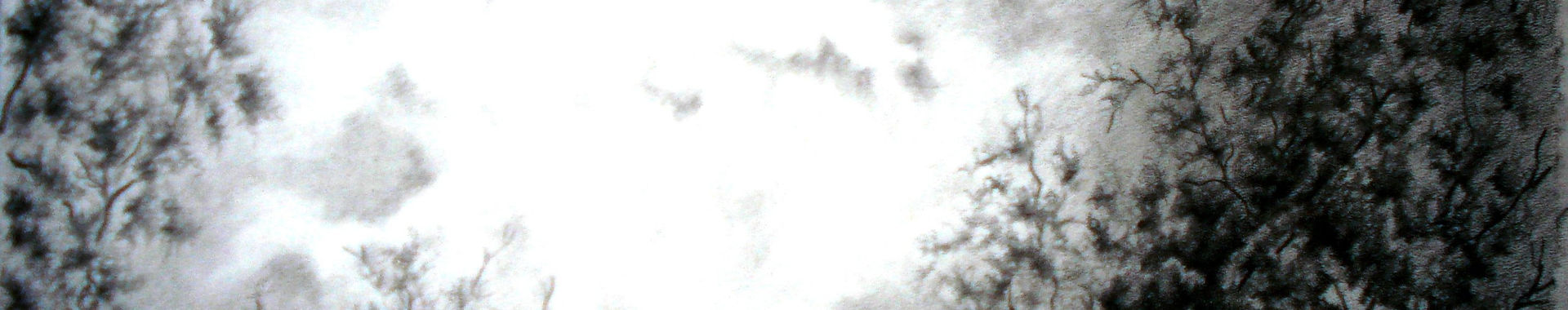 Imagen de portada