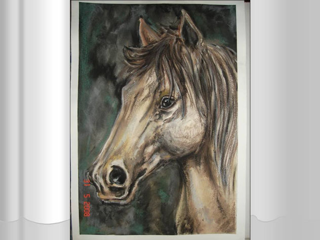 caballo