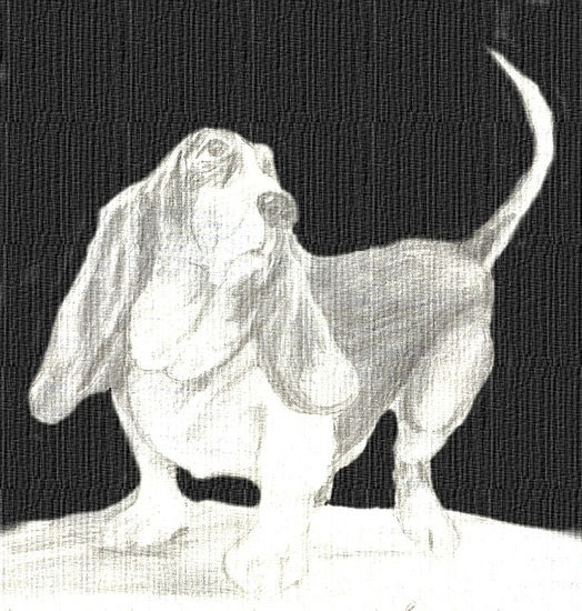 Mi perro Pencil (Black) Canvas