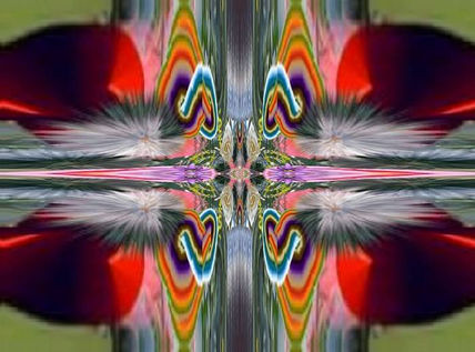 Untitled- 11