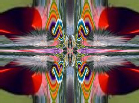 Untitled- 11