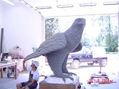 Aguila