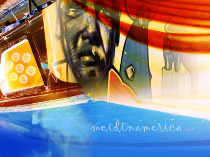 Meidinamerica