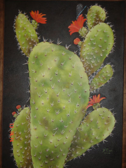 Cactus 