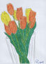 tulipanes