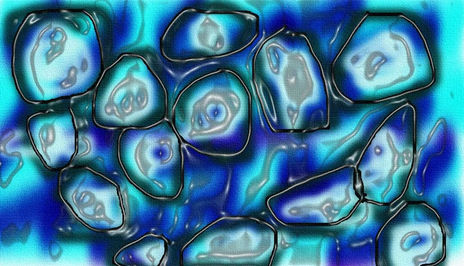 Ojos en el agua