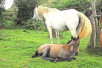 Madre e hijo