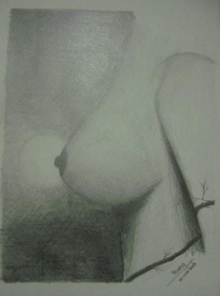 SIN TITULO