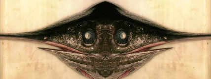 Double Fish