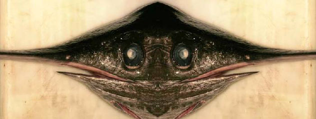Double Fish