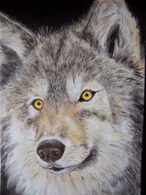 "lupo - wolf" ( lobo)